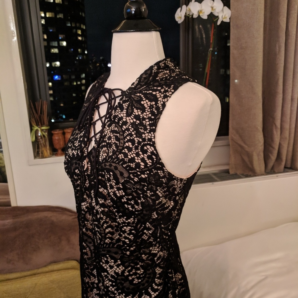 NWT Alexia Admor Lace Mini Dress - Picture 6 of 8